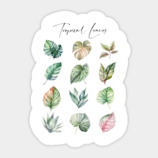 Tropical leaves Sticker